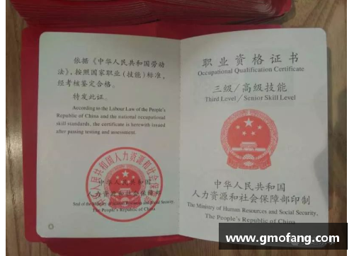 JN江南体育如何获取篮球教练资格证？看看这五条简单有效的考取途径 - 副本